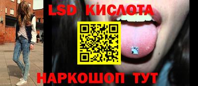 прущие грибы Ставрополь